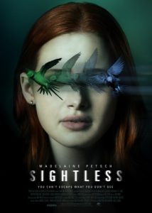 Sightless (2020) Hindi ORG Dual Audio Movie BluRay | 1080p | 720p | 480p | ESubs | Moviesflix